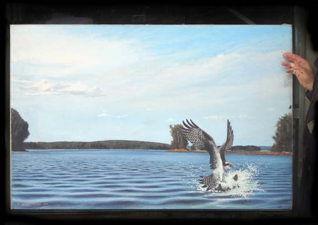 ospreybay