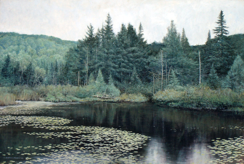 algonquin pond